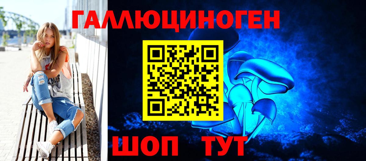 Галлюциногенные грибы Psilocybe  Вход с VPN  Псилоцибиновые грибы ЛСД  Касимов 